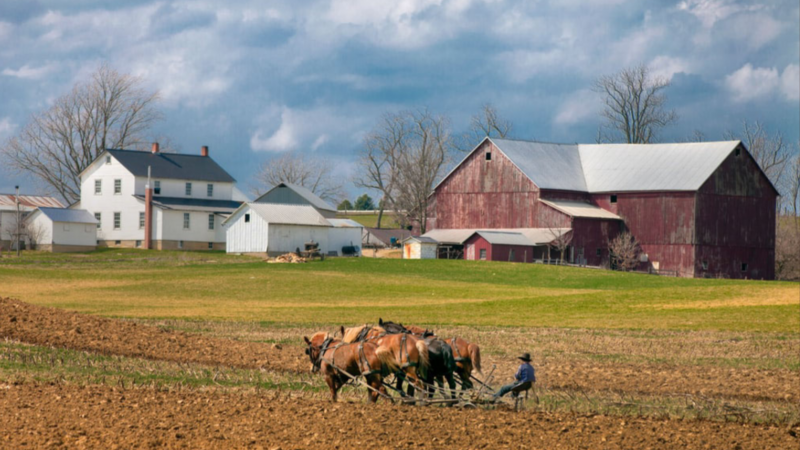 Rural Alabama